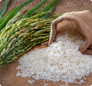 Weekly grocery subscription product UAE