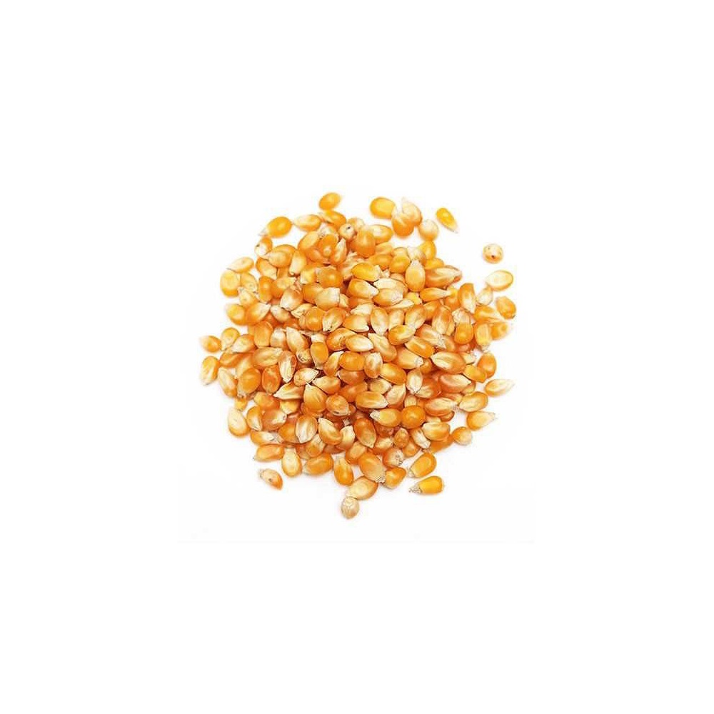 Dahab Pop Corn 1kg