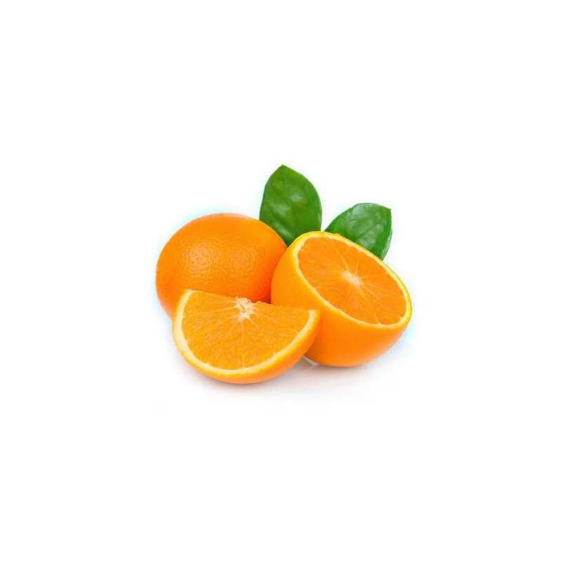 Valencia Oranges – Juicing Oranges