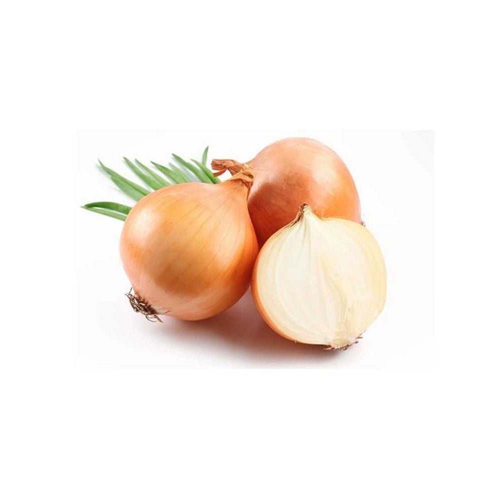 Spanish Brown Onions 1kg – Daily Kitchen Essential