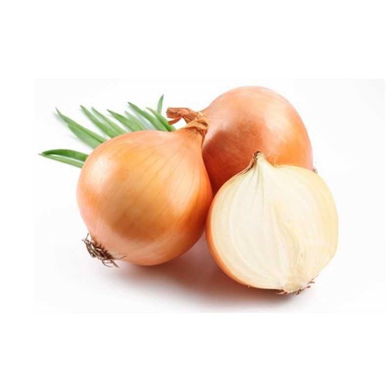 Spanish Brown Onions 1kg – Daily Kitchen Essential
