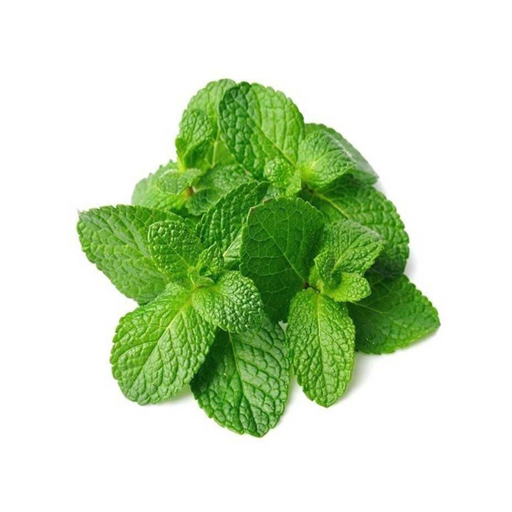 Fresh Mint Leaves 100g – Daily Use Herb